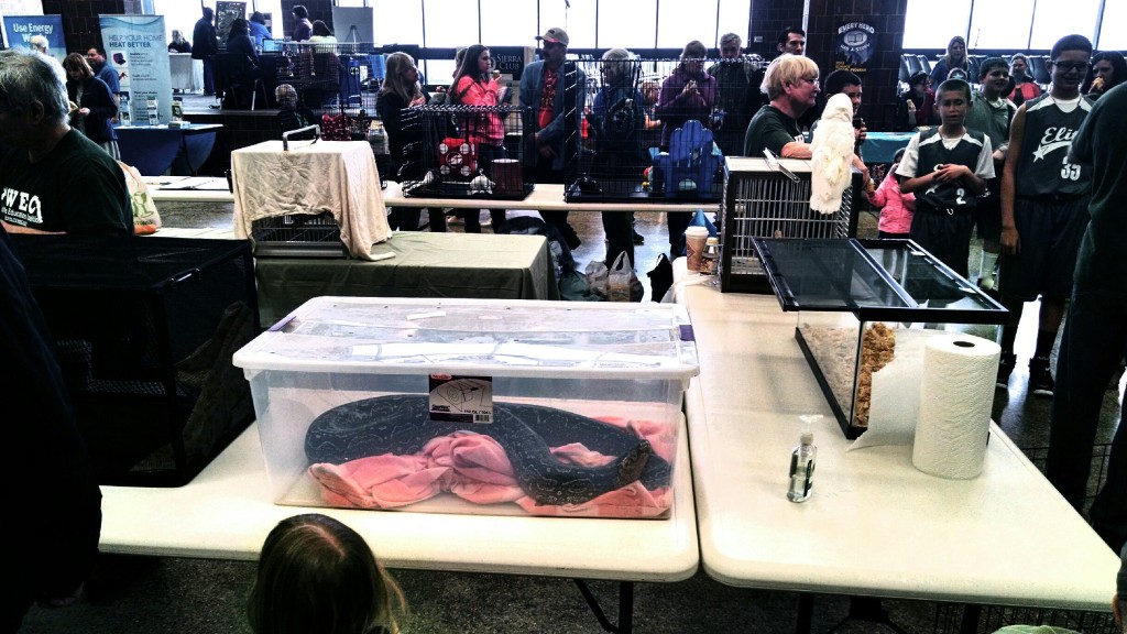 animal testing Animal Rights Rochester