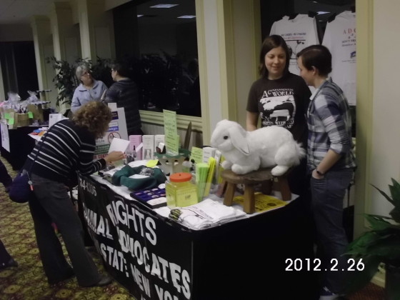 REPORT: Tabling at Event for RIT Feral Cats Rescue \u2013 Animal Rights ...