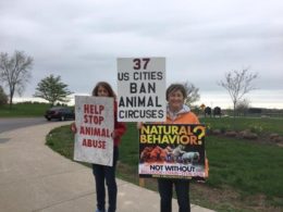 Recap: Garden Brothers Circus – Animal Rights Rochester