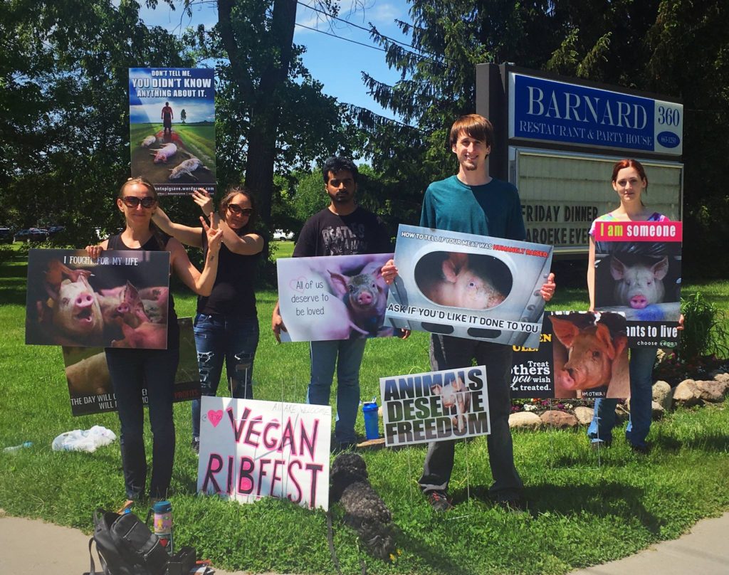 Recap Rib Fest Protests Animal Rights Rochester