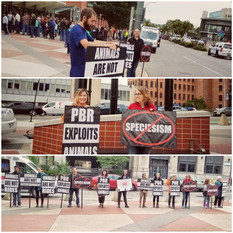 Recap PBR Protest Animal Rights Rochester
