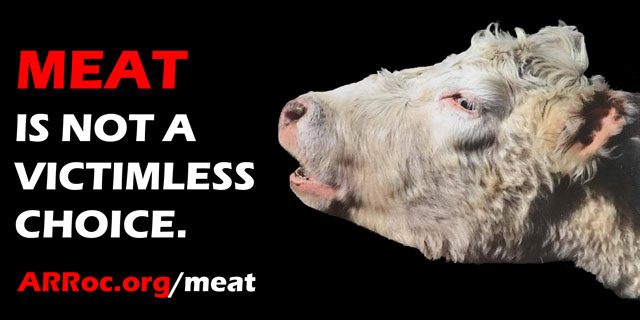 Meat is not a victimless choice.